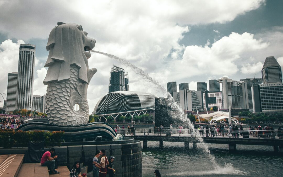 What scholarships are available for international students?