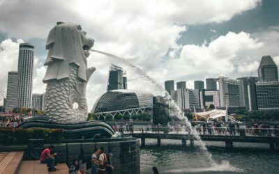 What scholarships are available for international students?