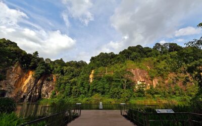 Secret (and not so secret) picnic spots in Singapore